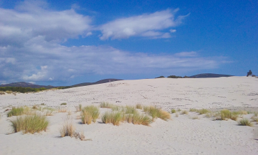 Quattro bianchissimi chilometri lungo la costa: le Dune di Porto Pino